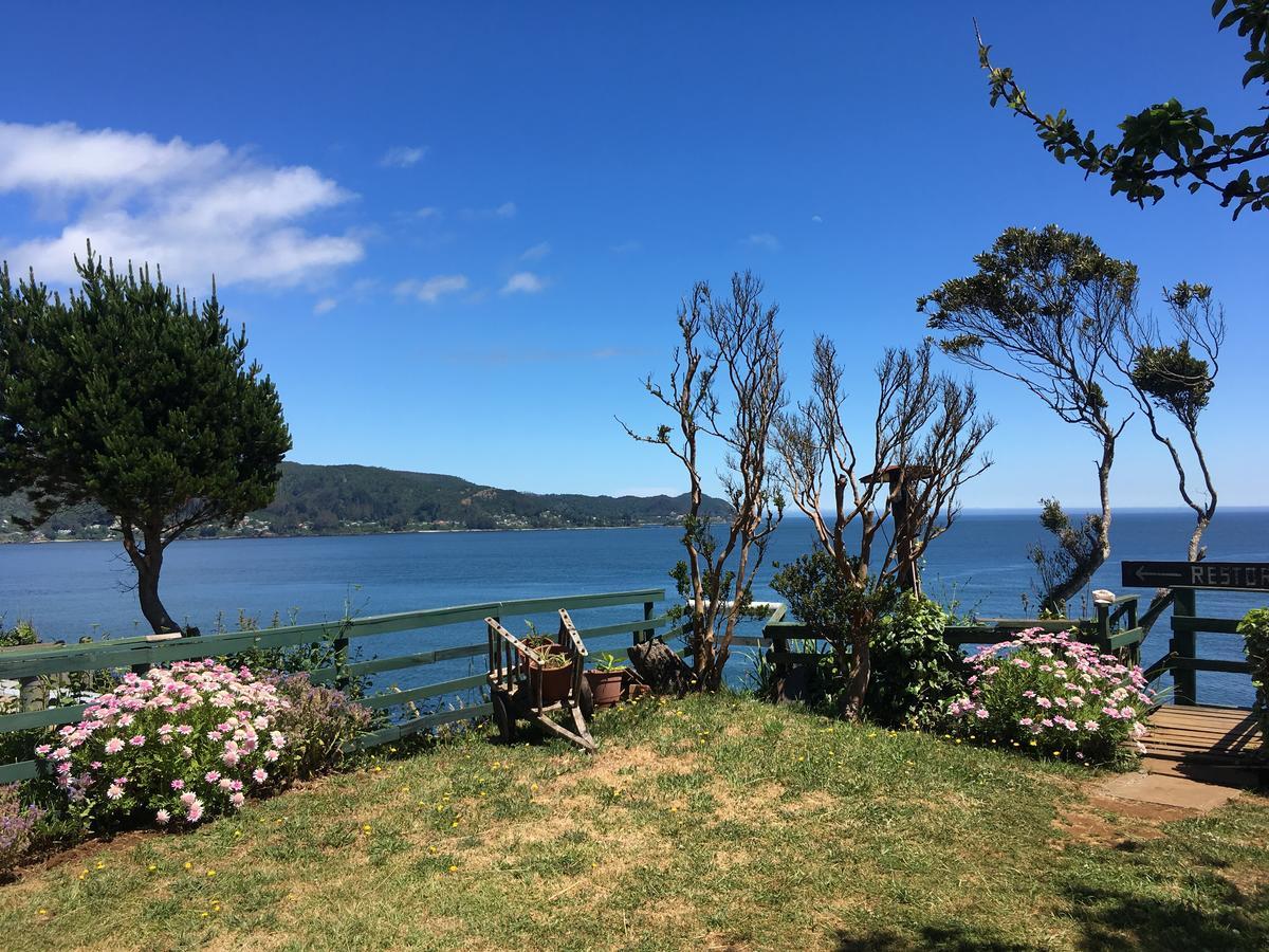 Lodge Fischer Niebla